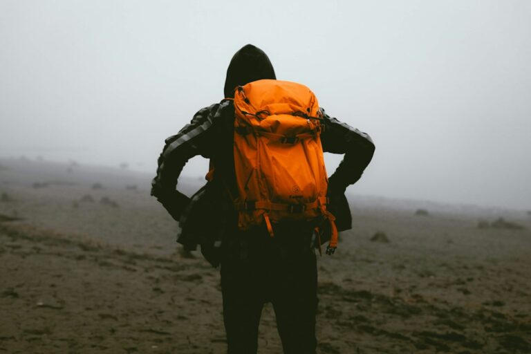 Essential Features to Look for in Your Next Backpack